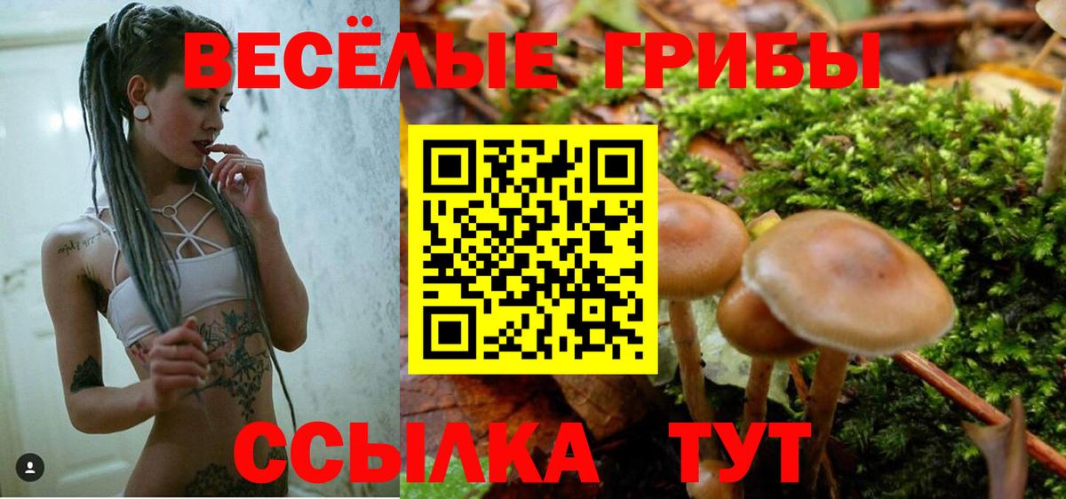 Псилоцибиновые грибы Magic Shrooms  Псилоцибиновые грибы Psilocybine cubensis  Вход с VPN  Абинск 